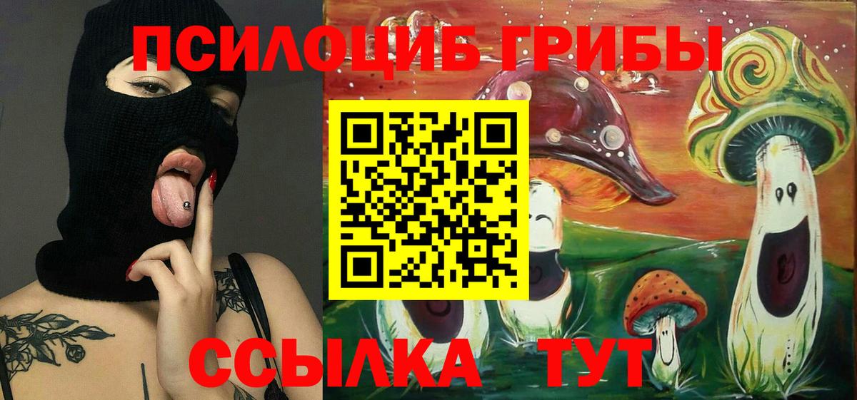 Галлюциногенные грибы прущие грибы Петропавловск-Камчатский