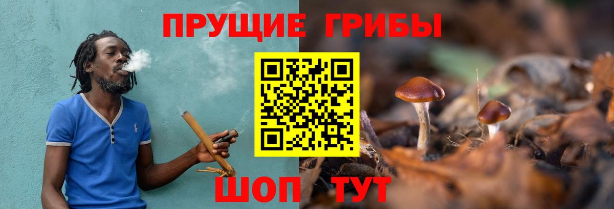 Псилоцибиновые грибы прущие грибы  Вход с VPN  Петропавловск-Камчатский 